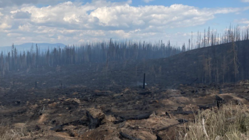 All Evacuation Orders Rescinded In Shuswap | Vernon Matters