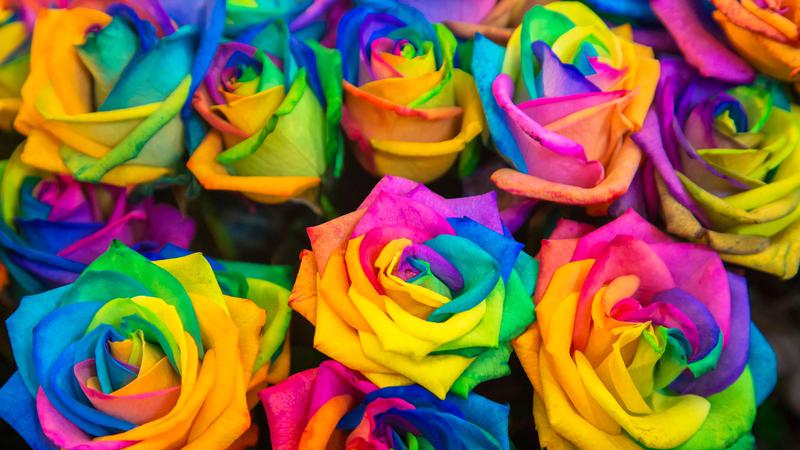 Workshops Celebrate Diversity In 2slgbtqia Community Vernon Matters