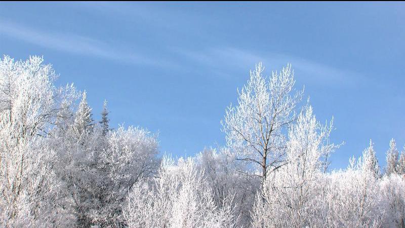 Extreme cold warning issued for Central Interior - Prince George Citizen