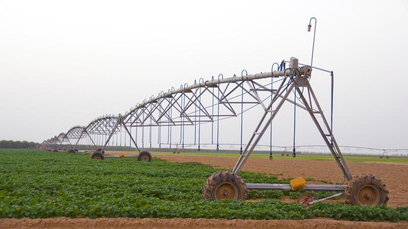 Water crisis: Area families see wells run dry as drought expands, News