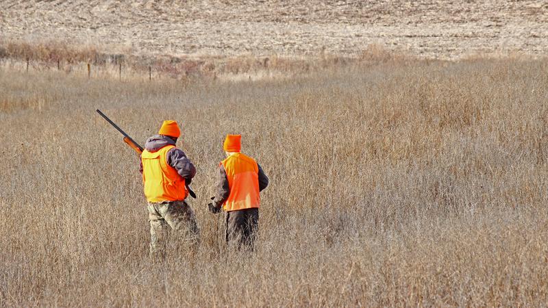 Joyce-backed measure advances, allowing three-year hunting