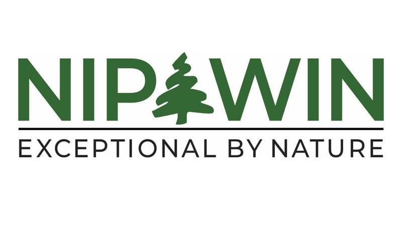 Town of Nipawin launches new website | northeastNOW