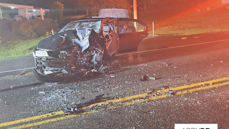 Impaired Driver Suspected Of Causing Head-on Collision In Abbotsford ...