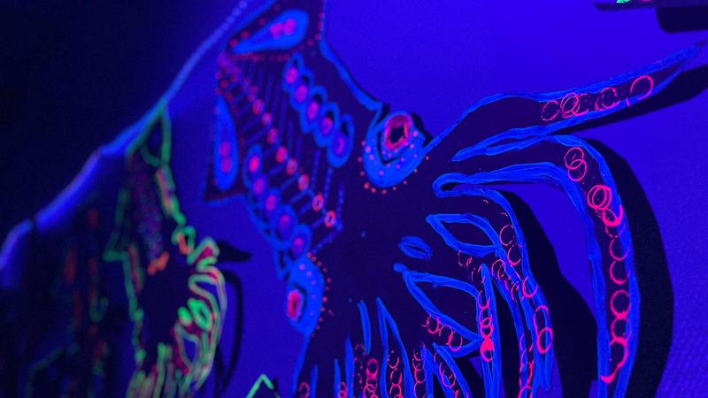 ‘I’m pretty proud of the kids:’ underwater art display lights up Nanaimo school