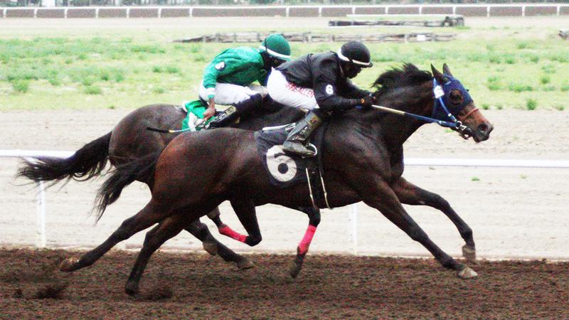 Horse and auto racing, football and baseball all on the local sports schedule this weekend