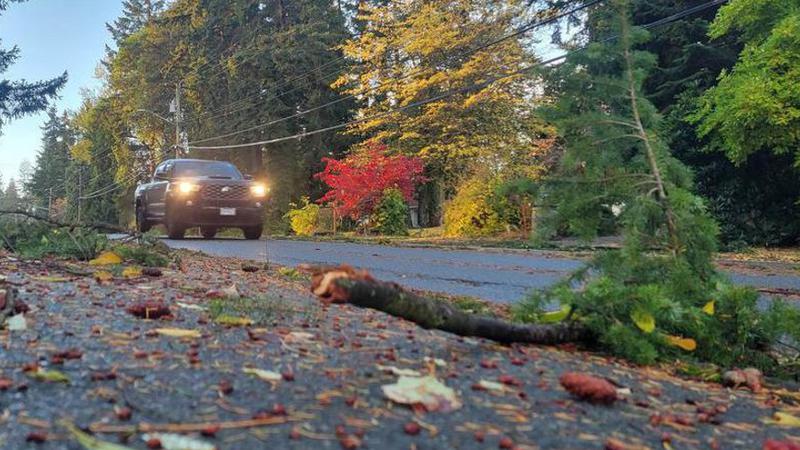 Southeast Rain and Storms Expected Nov. 29–Dec. 5