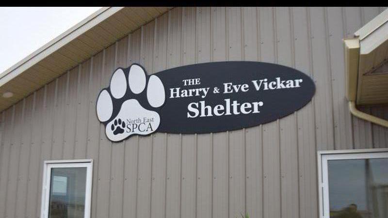North East SPCA issues update on ‘Save our Shelter’ campaign