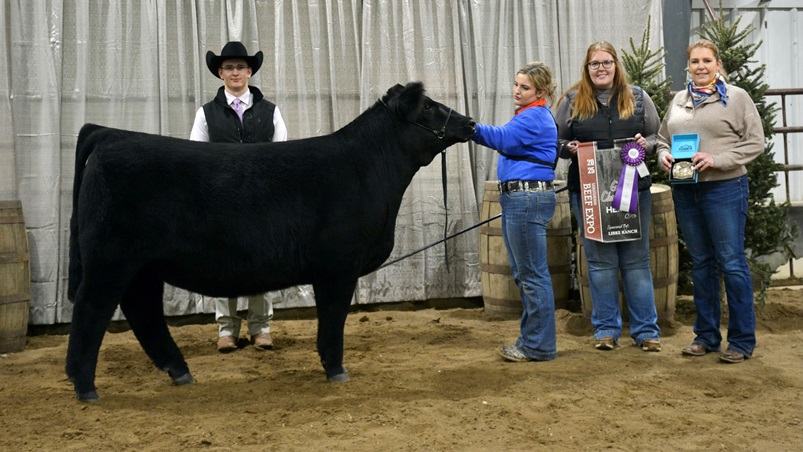 Young cattle producers hone skills at Beef Expo