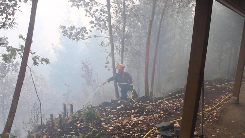 No structures lost as crews continue battle against growing Wesley Ridge wildfire