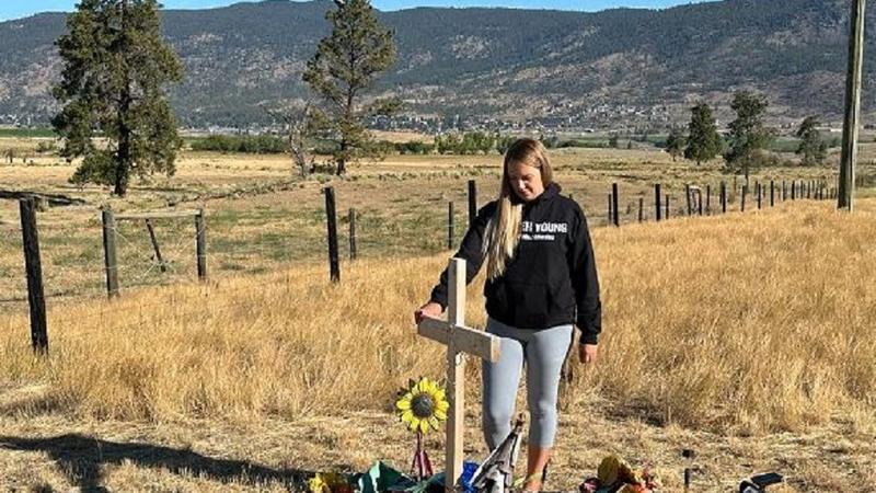 平野正樹「down the road of life」2000 平野正樹「down the road of life」2000 Zyzzyx Road: Amazon.ca