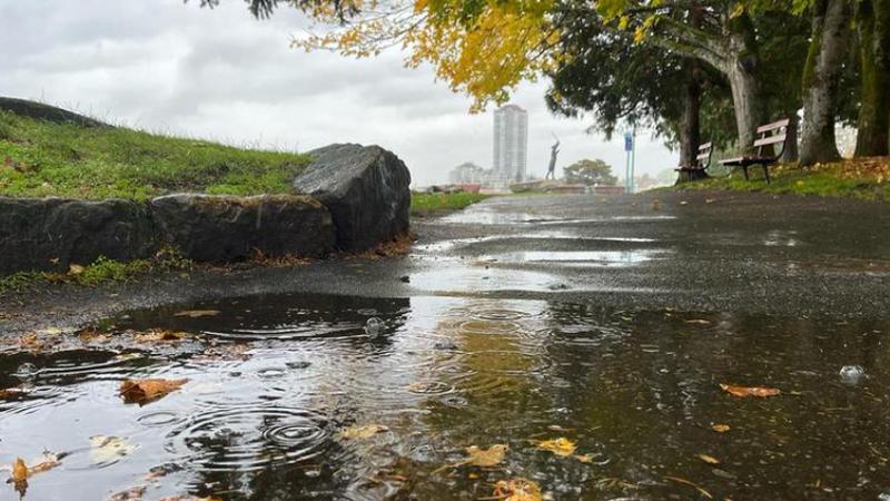 ‘Blustery conditions:’ atmospheric river arrives, impact lessened for Nanaimo area