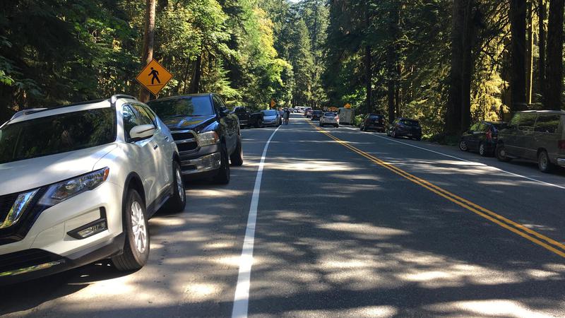 ‘No plans at this time:’ parking improvements not on the horizon for popular Cathedral Grove