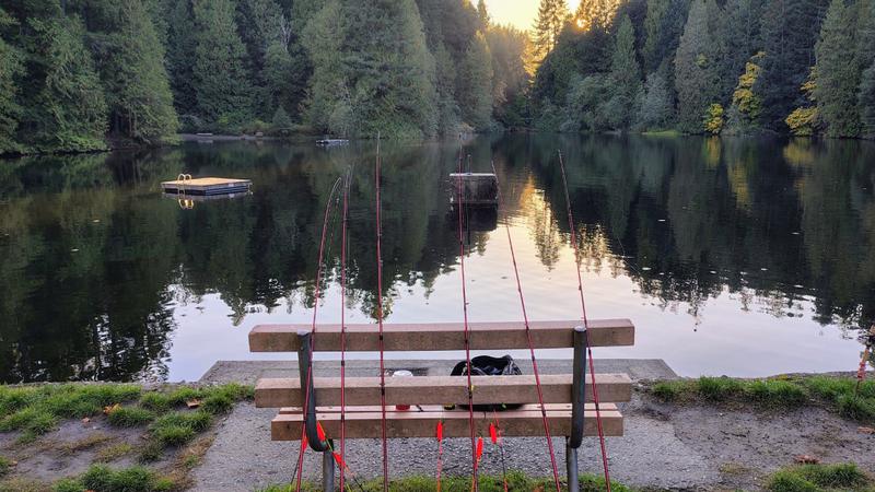 Lake fishing advocacy group hosts Nanaimo trout release event