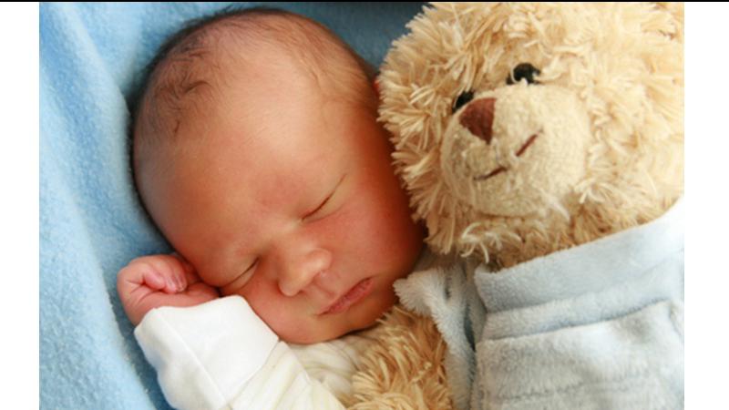 Teddy bear supplies down