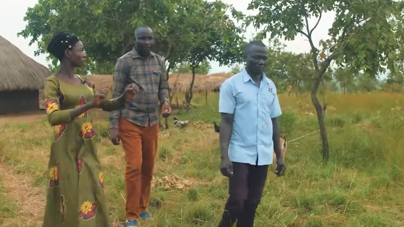 Sorry! Image not available at this time