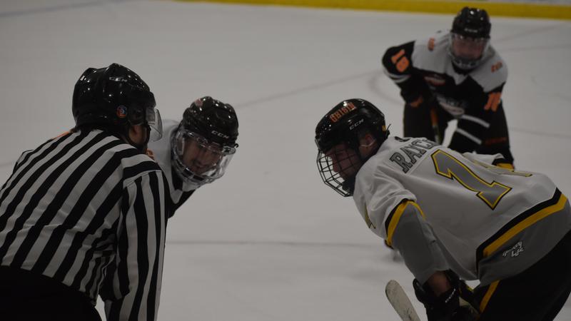 Medicine Hat Cubs, riding a five-game win streak, have several All-Star team members