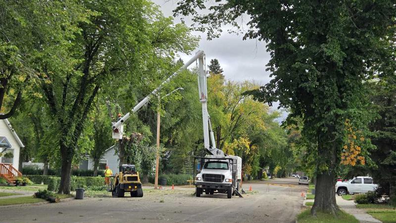 Sorry! Image not available at this time