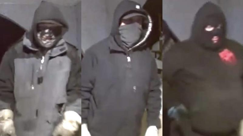 Sorry! Image not available at this time