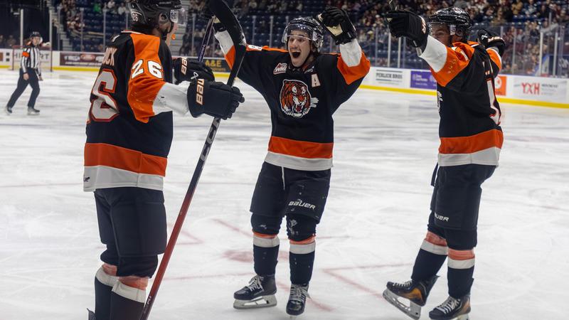 Medicine Hat Tigers aim to tie their longest win streak in franchise history tonight against the Lethbridge Hurricanes