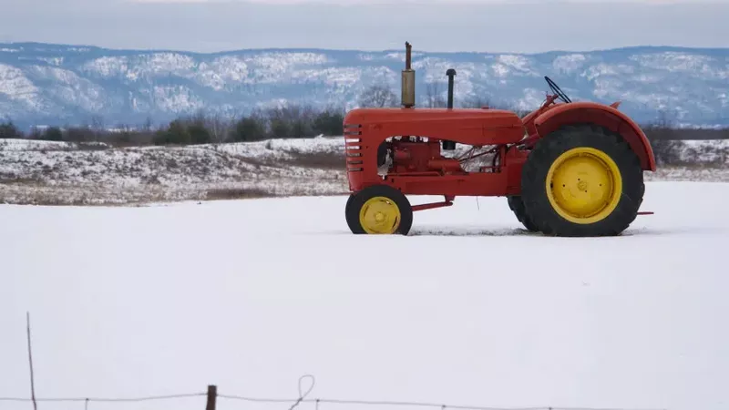 Farmer describes China trade deal as positive, but won't influence this year's crop