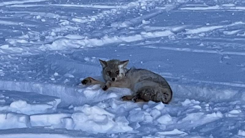 Sorry! Image not available at this time