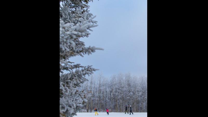 Sorry! Image not available at this time